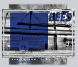 Bees Adult White Stadium T-shirt