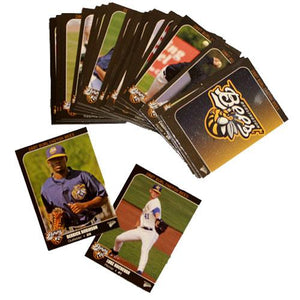 Burlington Bees 2007 Burlington Bees Team Set