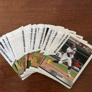 Burlington Bees 2019 Burlington Bees Team Set